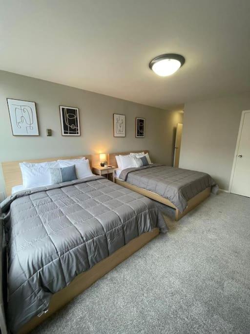 Charming Apartment At Crystal City With Amazing Amenities アーリントン エクステリア 写真