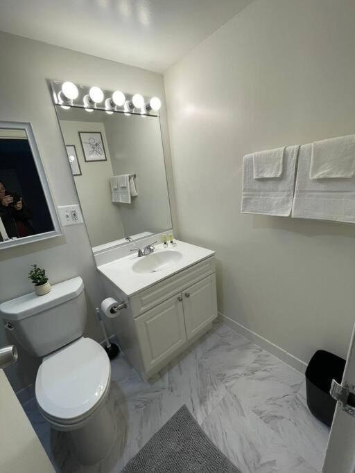 Charming Apartment At Crystal City With Amazing Amenities アーリントン エクステリア 写真